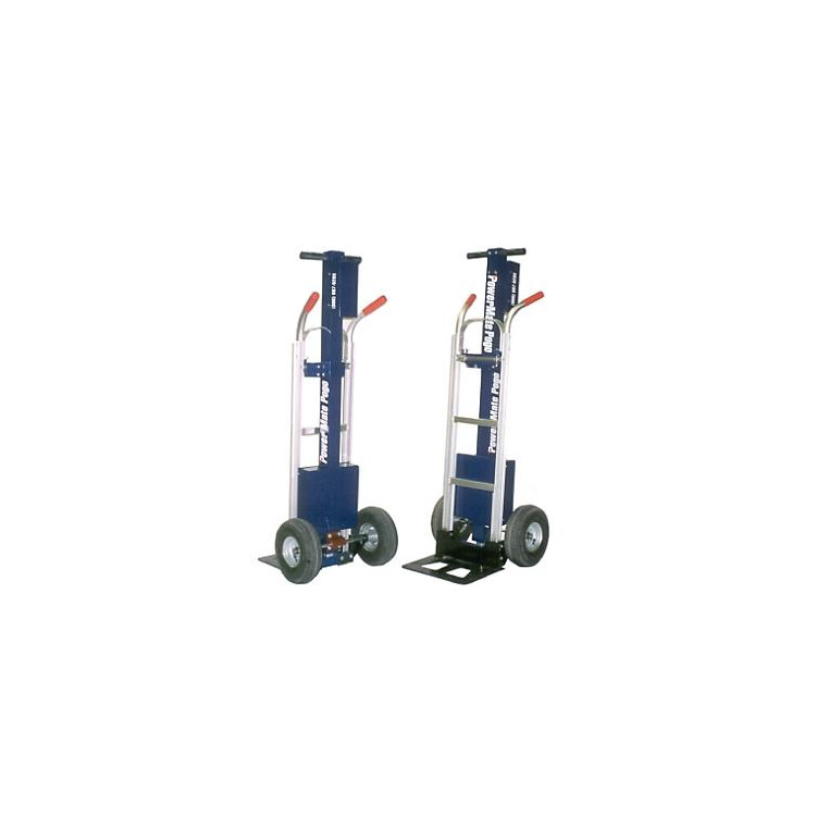 POGO P-1 POGO P-1